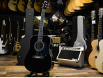 Акустическая гитара ARIA FIESTA FST-300 BK