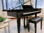 Цифровой рояль Kawai DG 30 EP