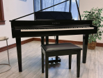Цифровой рояль Kawai DG 30 EP