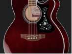 Электроакустическая гитара Takamine GN75CEWR