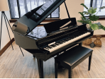 Цифровой рояль Yamaha Clavinova CSP-295GP PE
