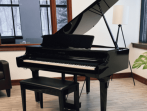 Цифровой рояль Yamaha Clavinova CSP-295GP PE