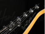 Электрогитара Harley Benton Fusion-III HH HT EB BK
