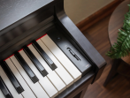Цифровое пианино Kawai CN-201 R