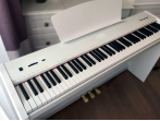 Цифровое пианино Sai Piano P-9WH