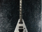 Электрогитара Jackson Pro Series Rhoads RR24 Winterstorm