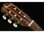 Классическая гитара Ibanez FRH10N-NTF