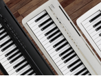 Цифровое пианино Kawai ES120 (общее)