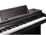 Цифровое пианино Kurzweil CUP E1 SR