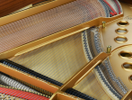 Рояль STEINWAY & SONS B-211 PE