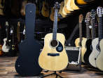 Акустическая гитара Greg Bennett GD100S/N