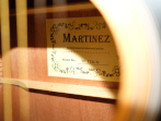 Акустическая гитара Martinez W - 12 A / N