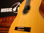 Классическая гитара Ortega Family Series Pro RCE131