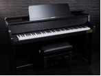Цифровое пианино Casio Celviano Grand Hybrid GP310 | GP-310 BK