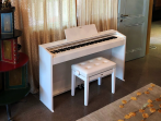 Цифровое пианино Casio Privia PX-870 WE