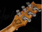 Электрогитара Harley Benton Agufish Custom Signature BT PB