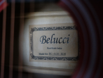 Акустическая гитара Belucci BC4120 RDS