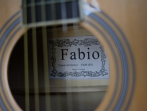 Акустическая гитара Fabio FAW-801