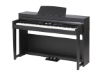 Цифровое пианино Medeli DP420K