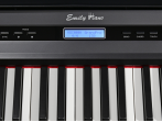 Цифровое пианино EMILY PIANO D-20 BK