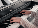 Цифровое пианино Kawai CN-301 R | CN301