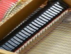 Рояль STEINWAY & SONS M-170 PE