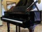 Рояль STEINWAY & SONS M-170 PE