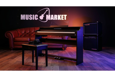 Цифровое пианино Casio Celviano AP-S450 BK - чёрный