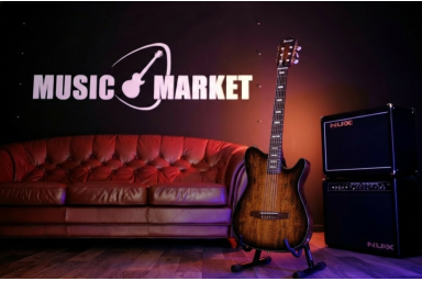 Классическая гитара Ibanez FRH20SMN-TCL