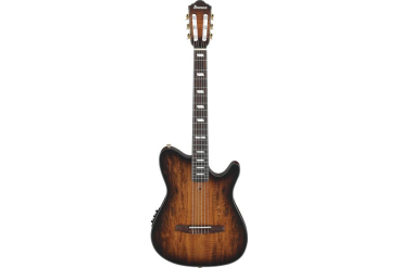 Классическая гитара Ibanez FRH20SMN-TCL