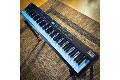 Цифровое пианино Roland RD-88 EX