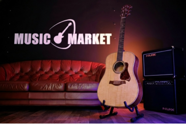 Электроакустическая гитара Taylor Gold Label 810e