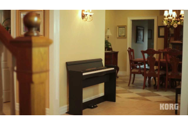 Цифровое пианино Korg LP-380U RW