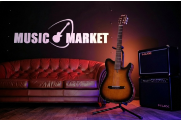 Классическая гитара Ibanez FRH10N-BSF