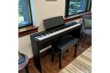 Цифровое пианино YAMAHA P-225 BK Home pack - Bundle