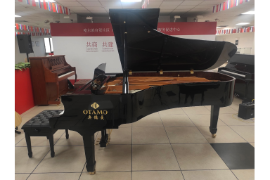 Акустический рояль OTAMO RE-231