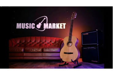 Классическая гитара Taylor Academy Series 12e-N