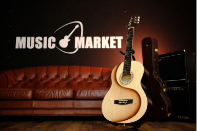 Акустическая гитара, тонировка, Амистар H-311