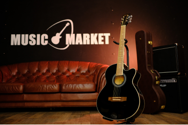 Акустическая гитара Phil Pro AS - 3904 / BK