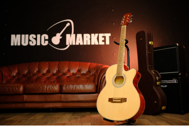 Акустическая гитара Phil Pro AS - 3904 / N