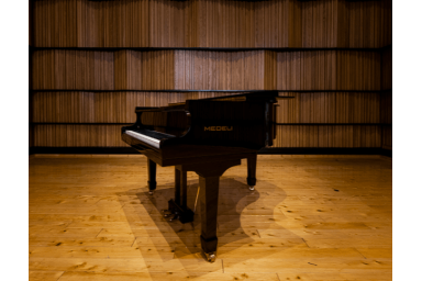 Цифровой рояль Medeli GP805