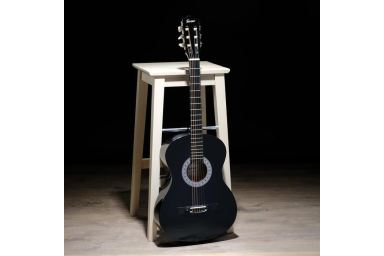 Классическая гитара 7/8 TERRIS TC-3801A BK