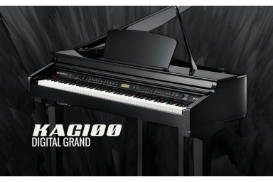 Цифровой рояль Kurzweil KAG100 EP