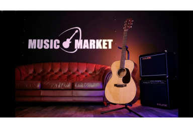 Акустическая гитара Martin Guitar 00018