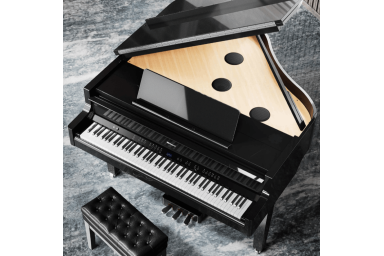 Самоиграющий цифровой рояль Roland GP-9M PE