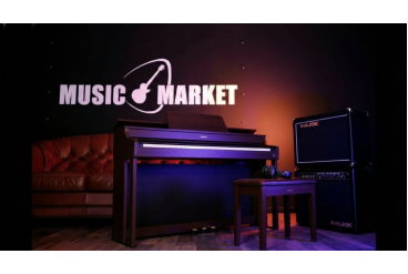 Цифровое пианино Casio AP-300 BN