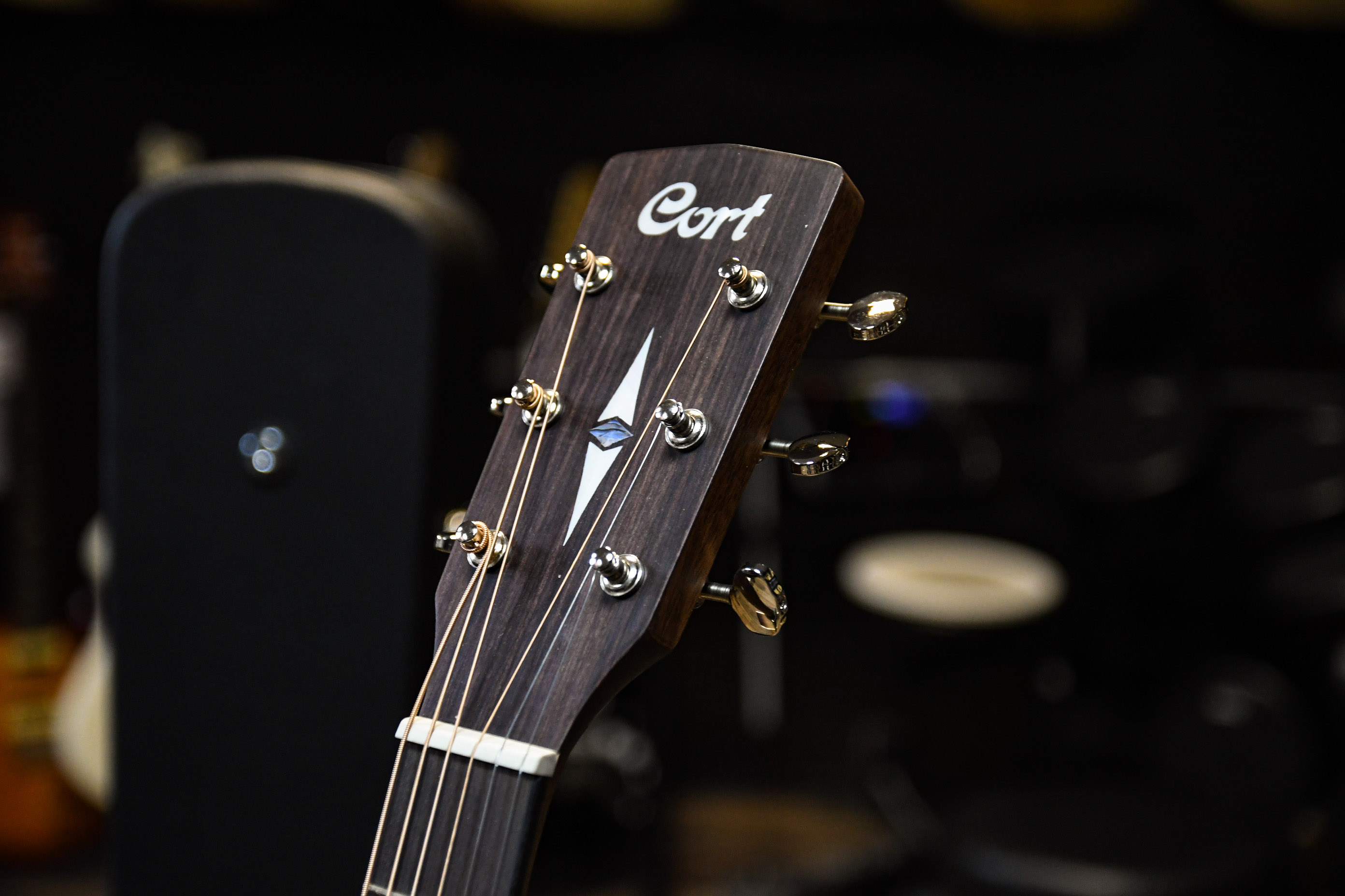 Акустическая гитара Cort EARTH80-NS