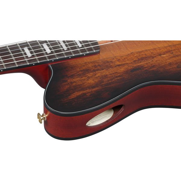 Классическая гитара Ibanez FRH20SMN-TCL