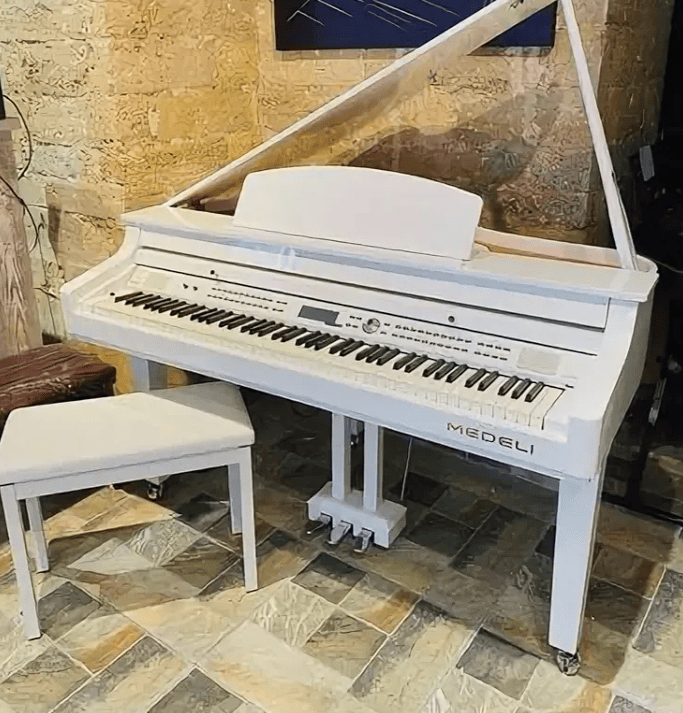 Цифровой рояль Medeli Grand 510 GW