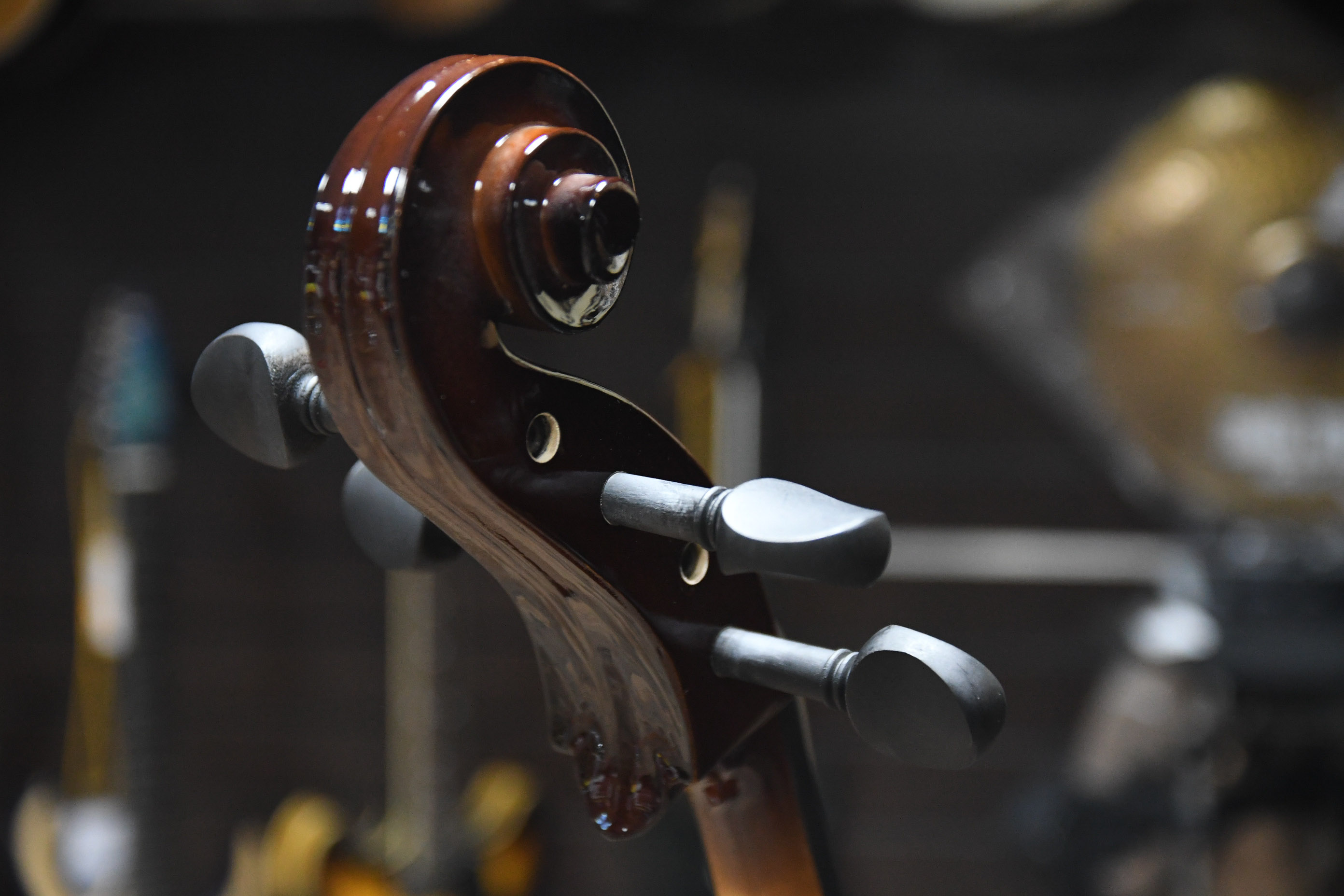 Виолончель 1/2 чехол и смычок Caraya MC760R-1/2